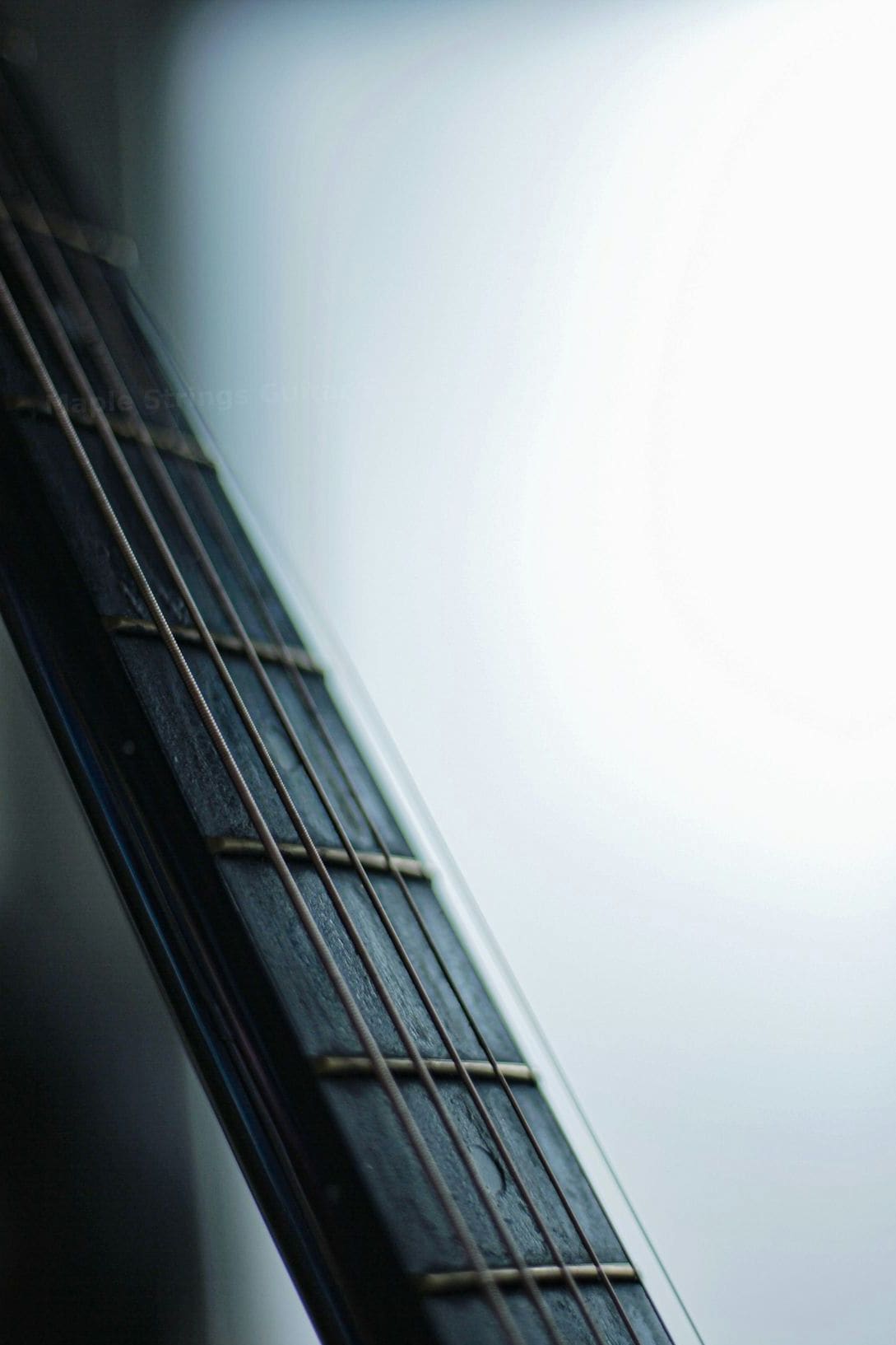 Maple Strings Guitar Studio